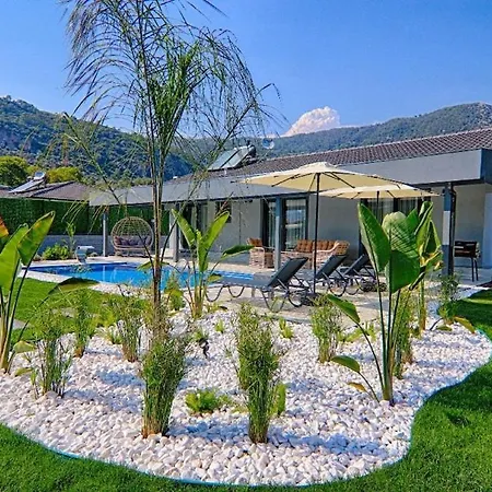 别墅 Luxury Detached With Large Garden And Private Pool In Goecek Inlice 费特希耶