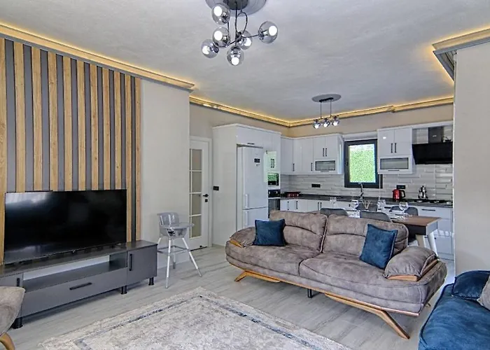 Luxury Detached With Large Garden And Private Pool In Goecek Inlice 别墅 费特希耶